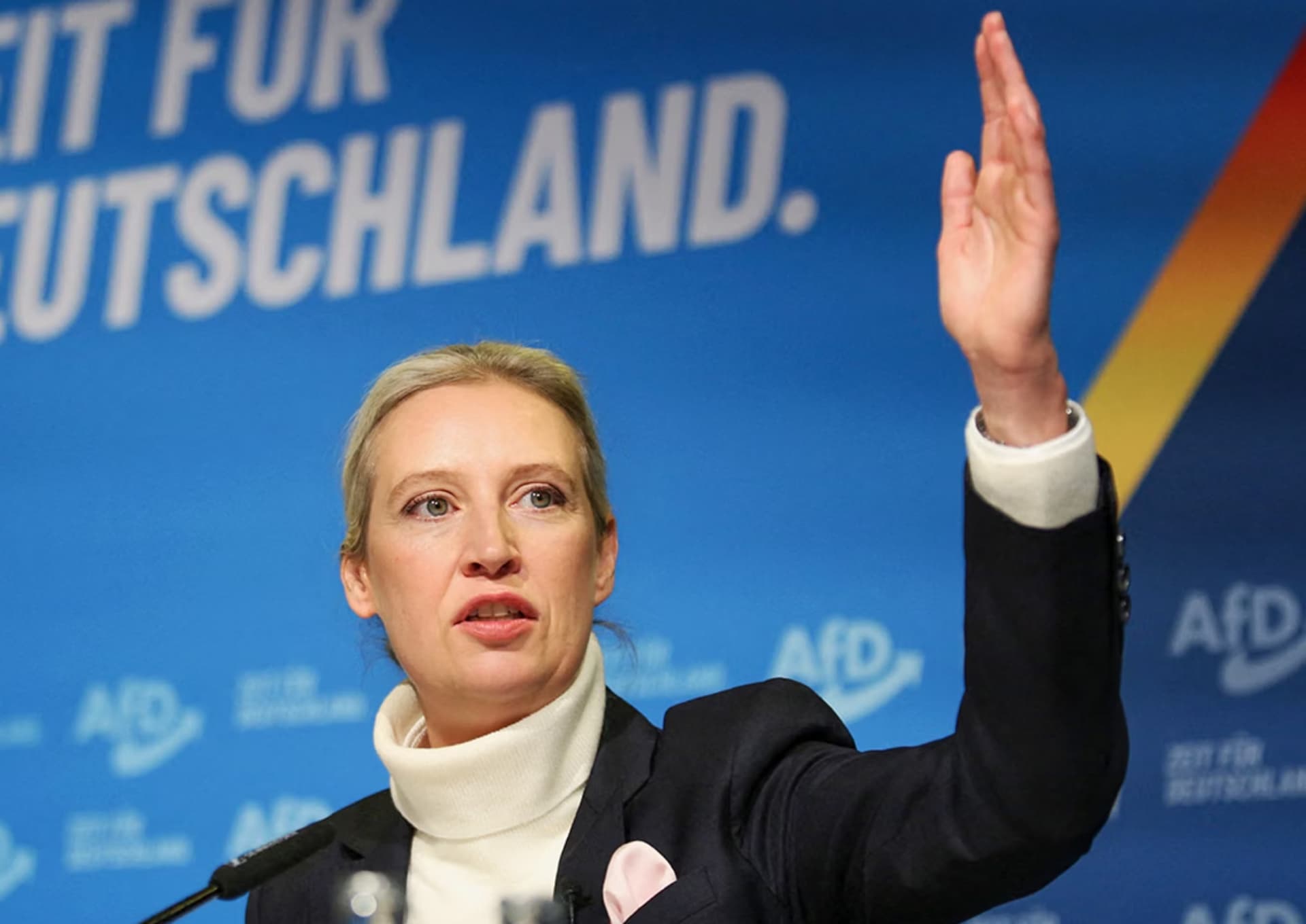 AfD pune Europa pe jar! Alice Weidel vrea Germania în afara EURO și din Schengen