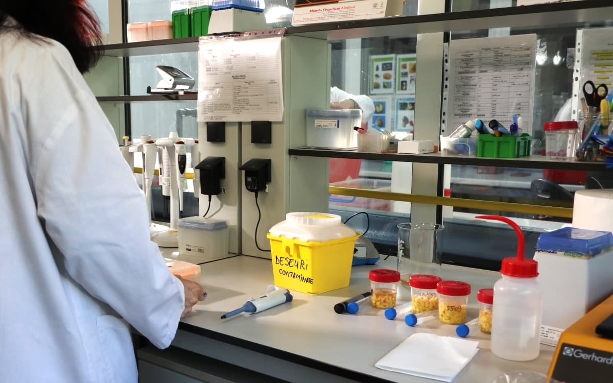 De la câmp la laborator: cum sunt verificate reziduurile de pesticide din alimente