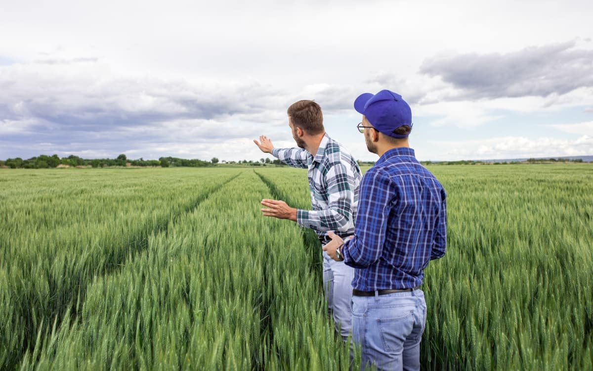 Agricultura responsabilă poate contribui și la protejarea atmosferei