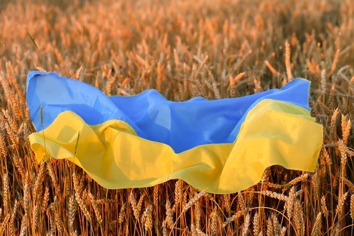Presa din Ungaria: Agricultura europeană se va prăbuşi, dacă 40 de milioane de tone de cereale ucrainene vor ajunge pe piața internă a UE