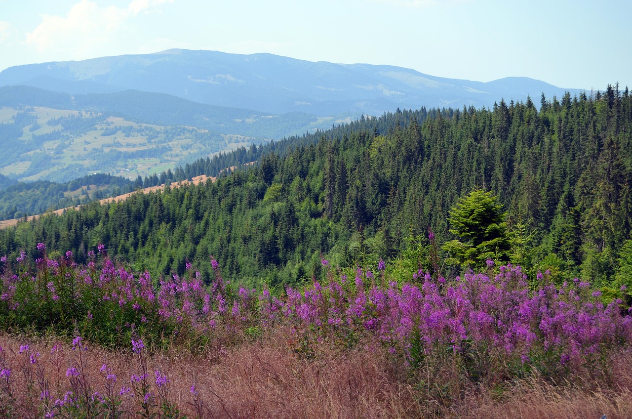 Munții din România care apar în topul celor mai bune trasee de drumeție din Europa