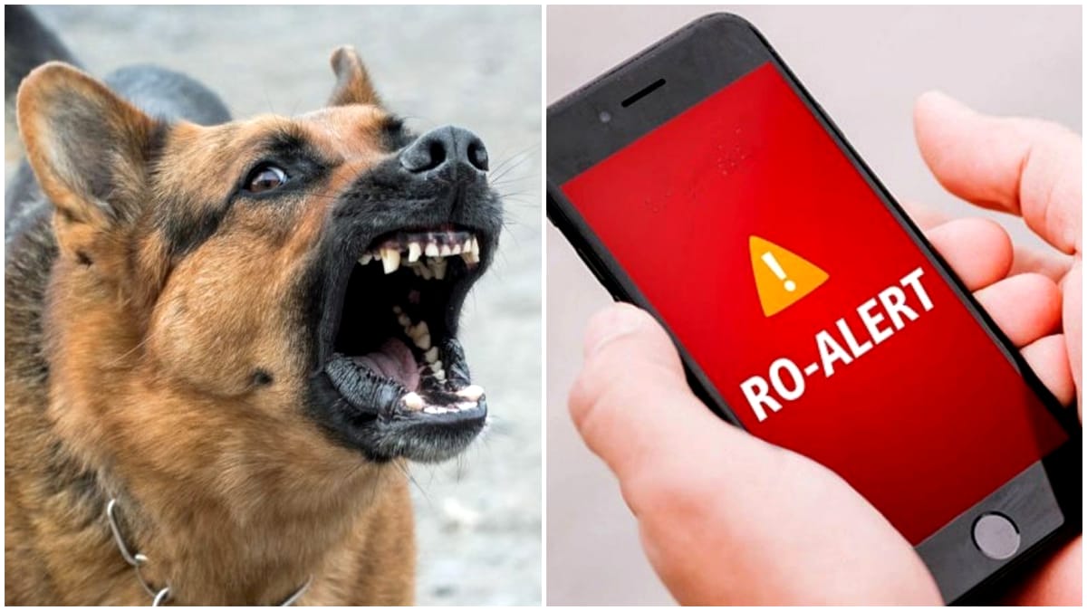 Focar de rabie confirmat în România. Mai mulți oameni mușcați de un câine turbat. S-a emis RO-Alert