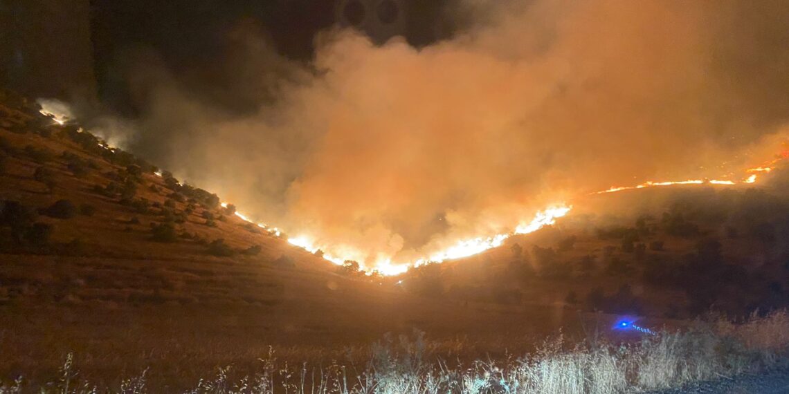 Incendii de pădure în sud-estul Turciei. Cinci persoane au murit